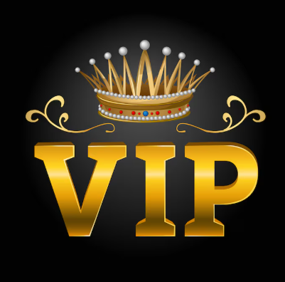 Danica VIP buyers easy to make order ,including tax fee ,shipping fee and all cost