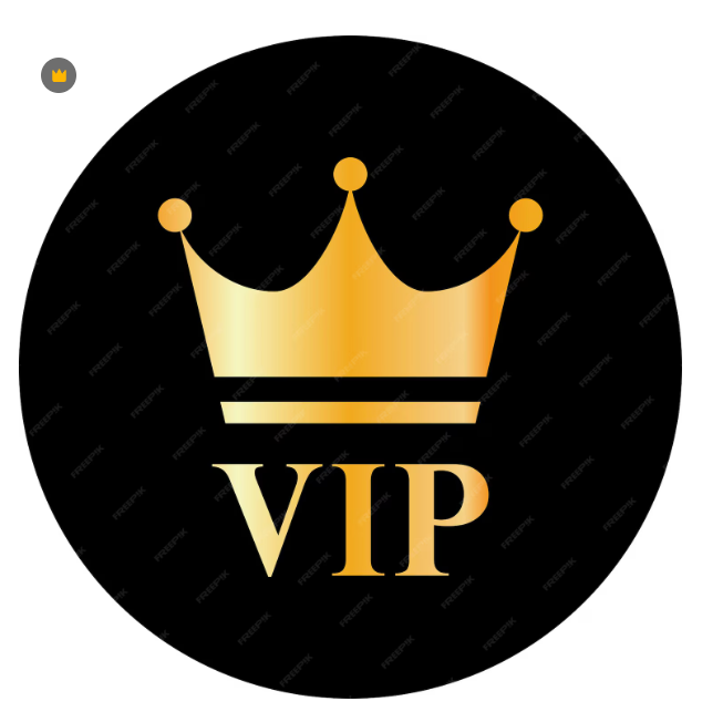 VIP buyers ----The Different Money including products , shipping fee , transcation fee and more